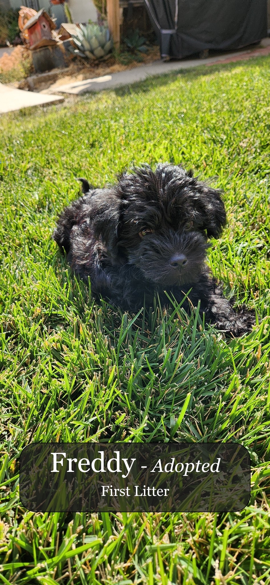 Happy Home Environment Image 2