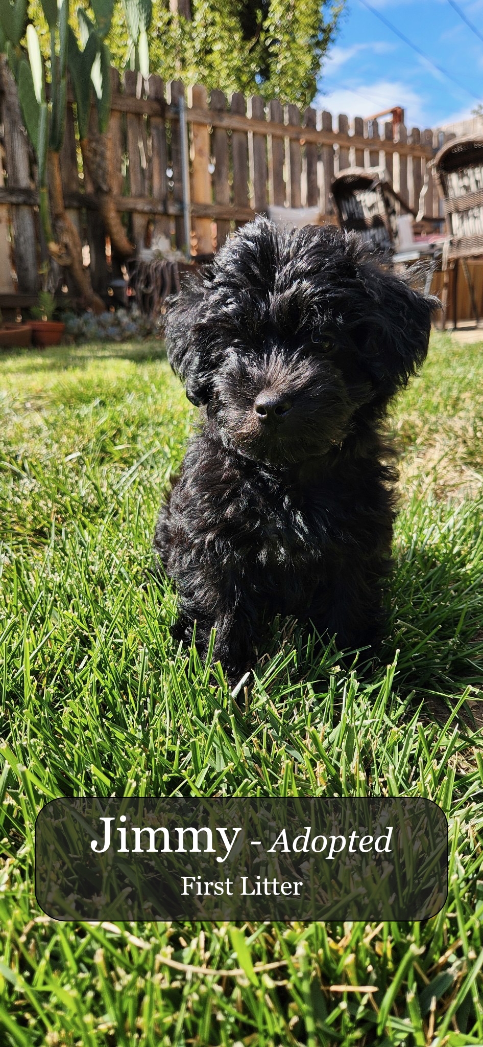 Happy Home Environment Image 1